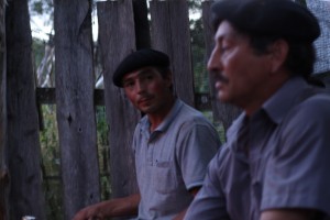 IMG 7966